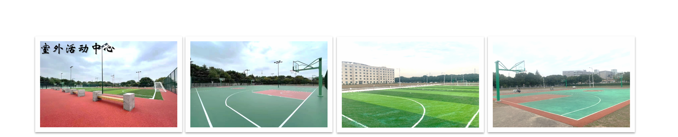 今年会 | 官方网站