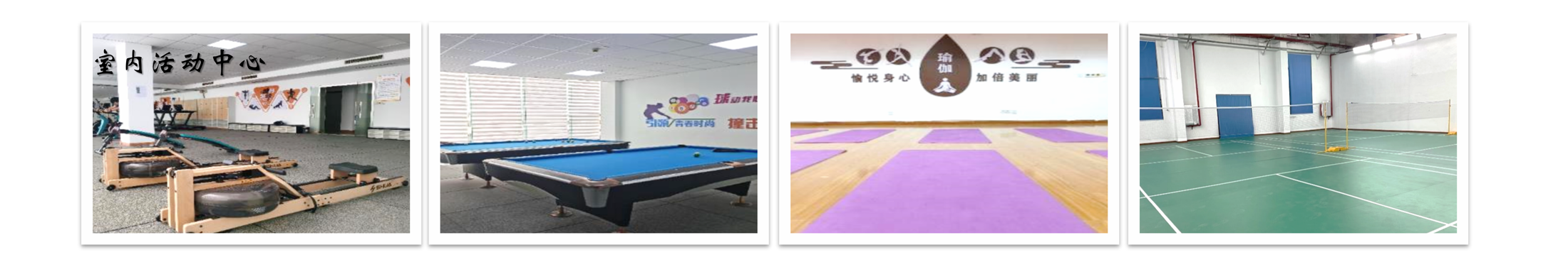 今年会 | 官方网站