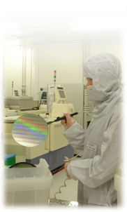 今年会 | 官方网站